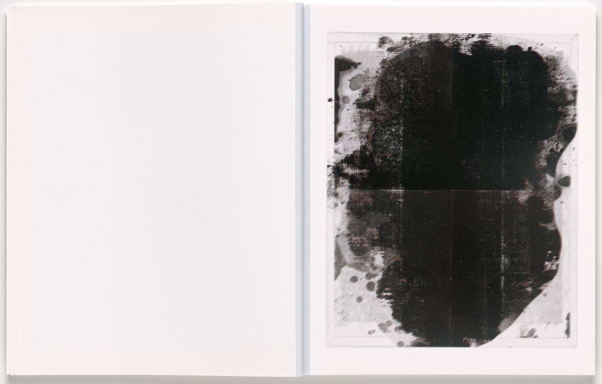Christopher Wool. Book 6. 2024