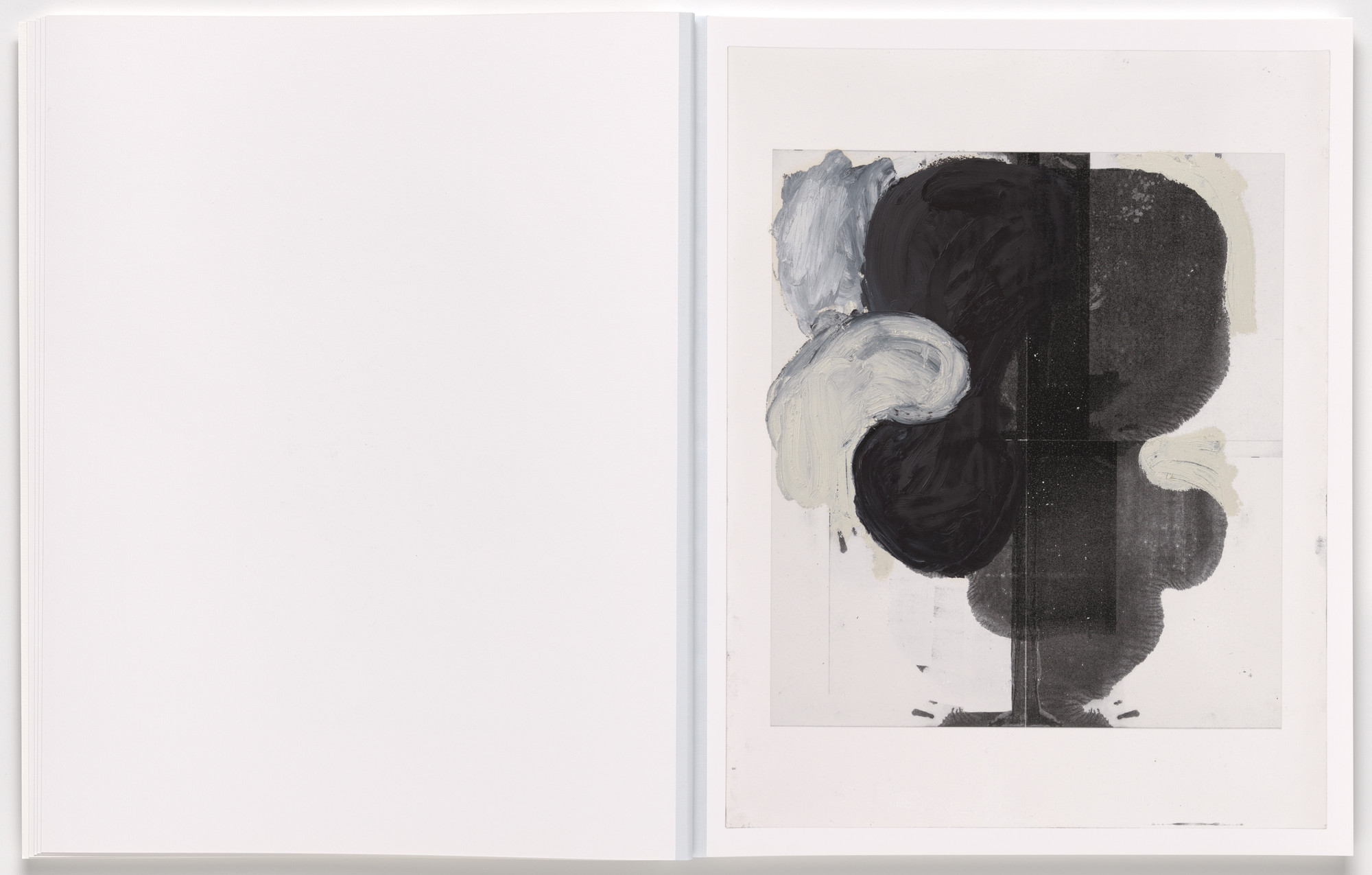 Christopher Wool. Book 5. 2024