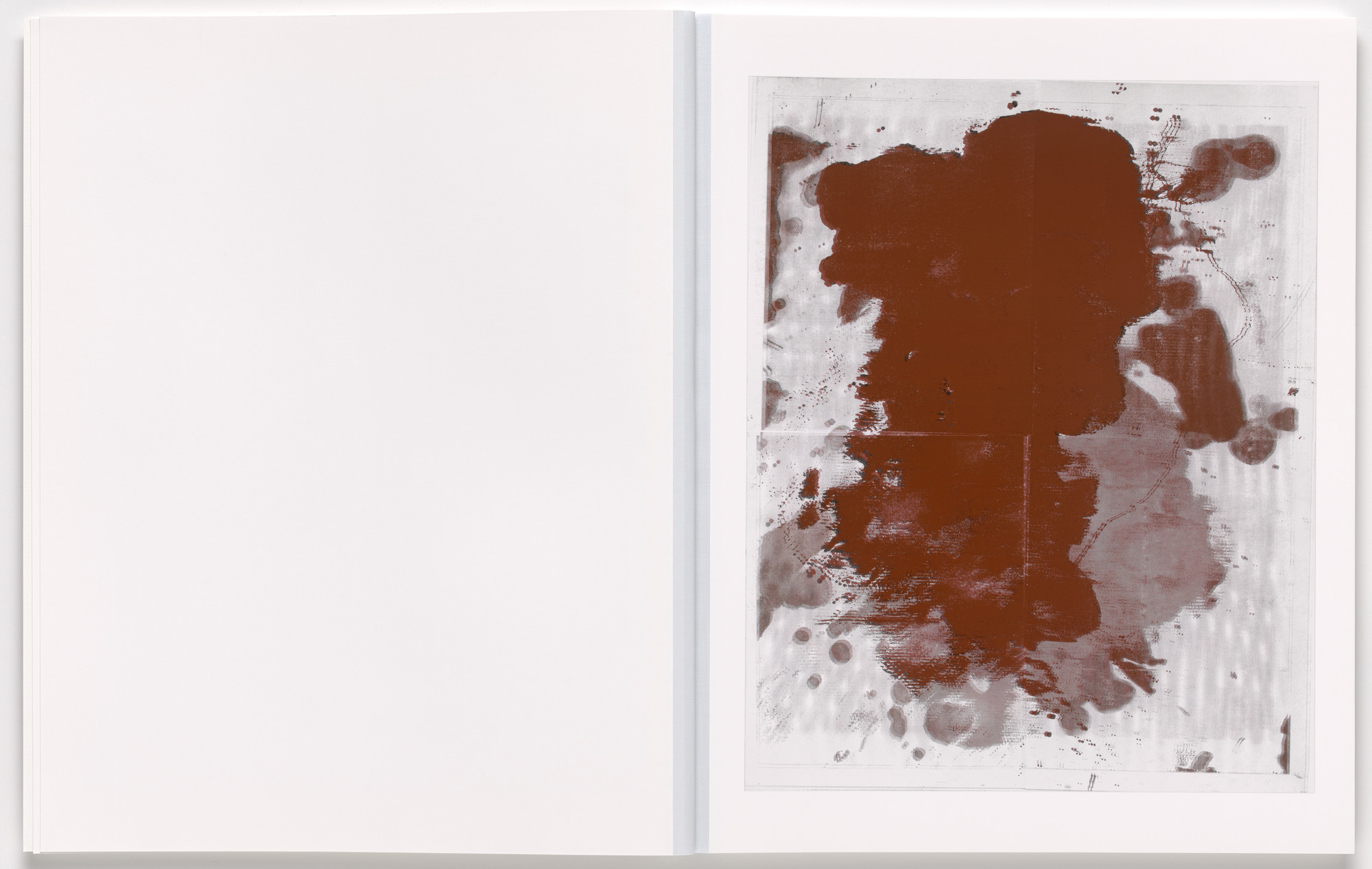 Christopher Wool. Book 6. 2024