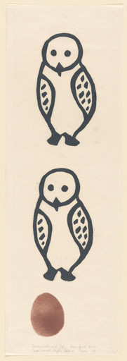 Snowy Owls and Egg