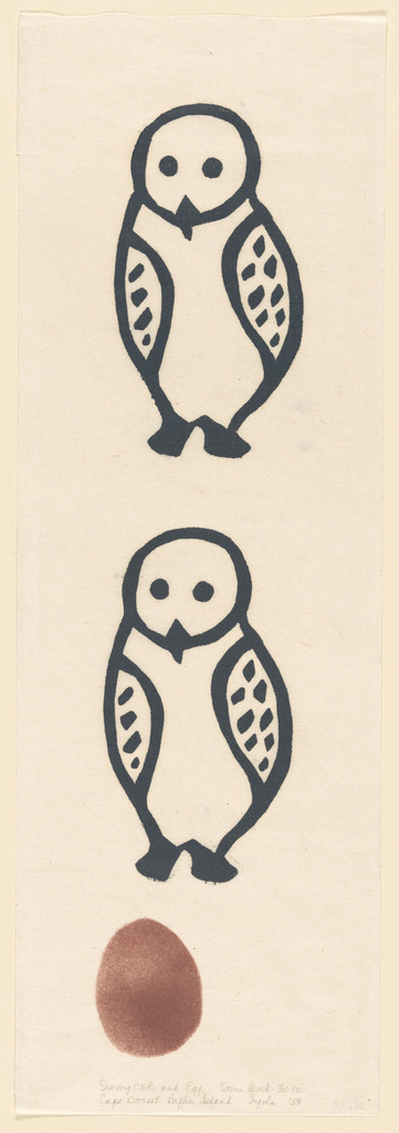 Snowy Owls and Egg
