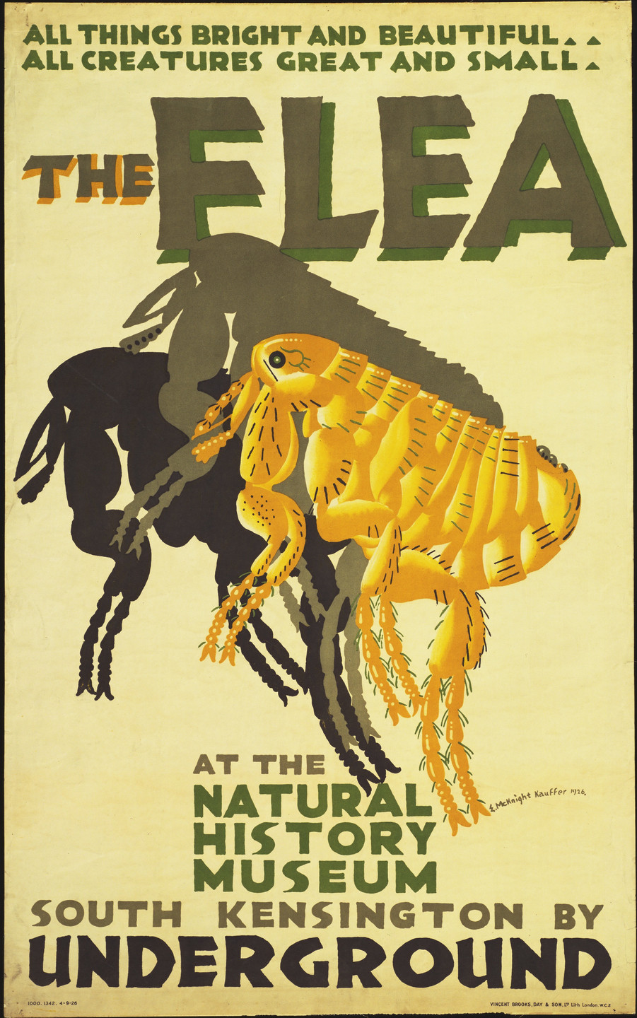 E. McKnight Kauffer. The Flea, at the Natural History Museum. 1926