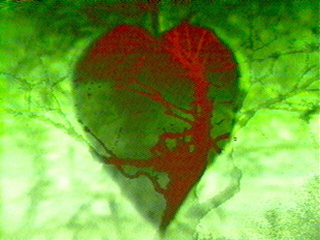 Hearts