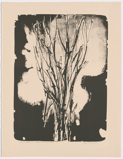 Burning Bush
