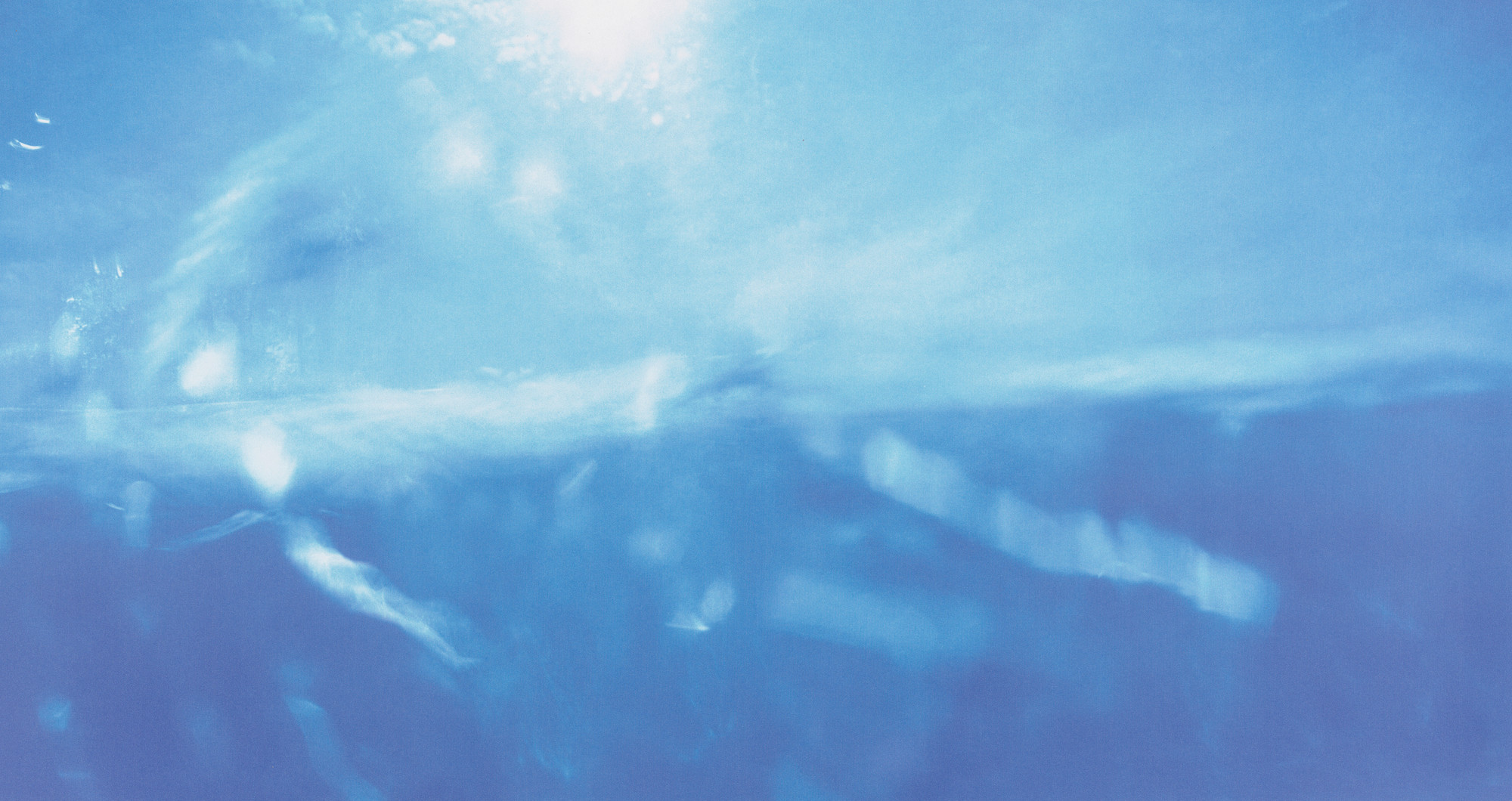 Hope Sandrow. Two Sea Gulls from the series Time. 1998