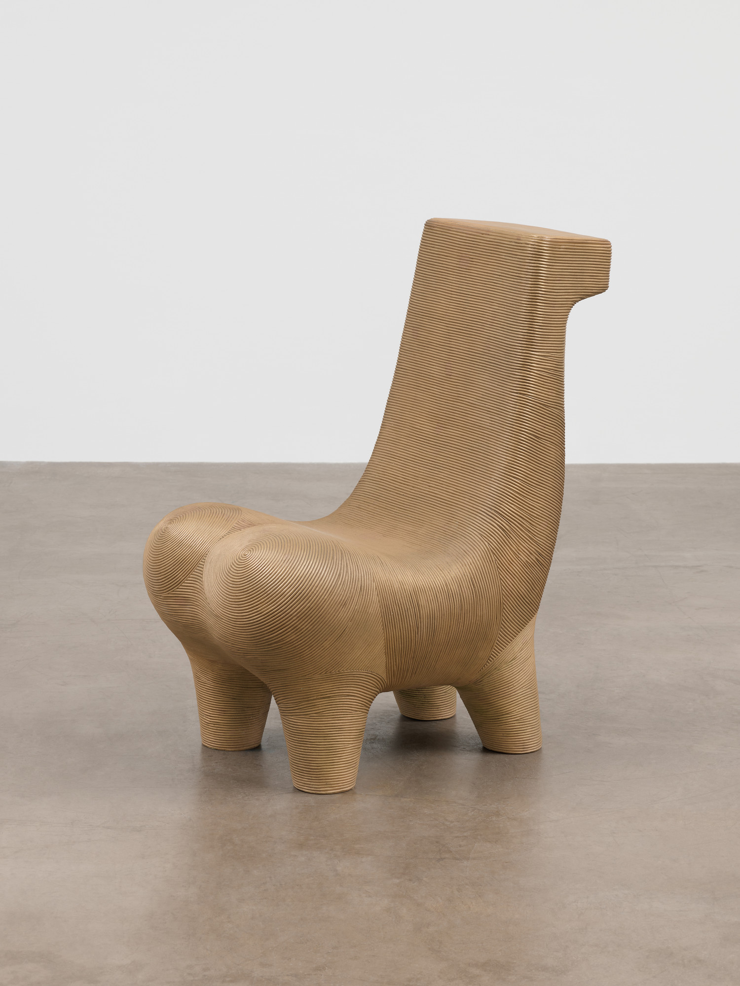 Satyendra Pakhalé. B. M. Horse