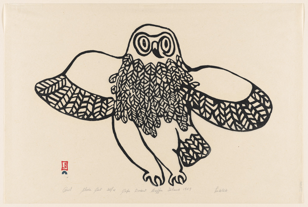 Owl