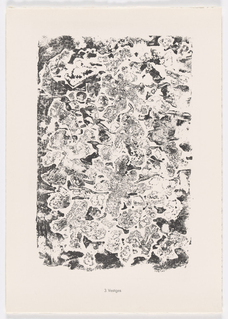 Vestiges from the portfolio Scrap Plates II (Planches de rebut II) from Phenomena (Les Phénomènes)