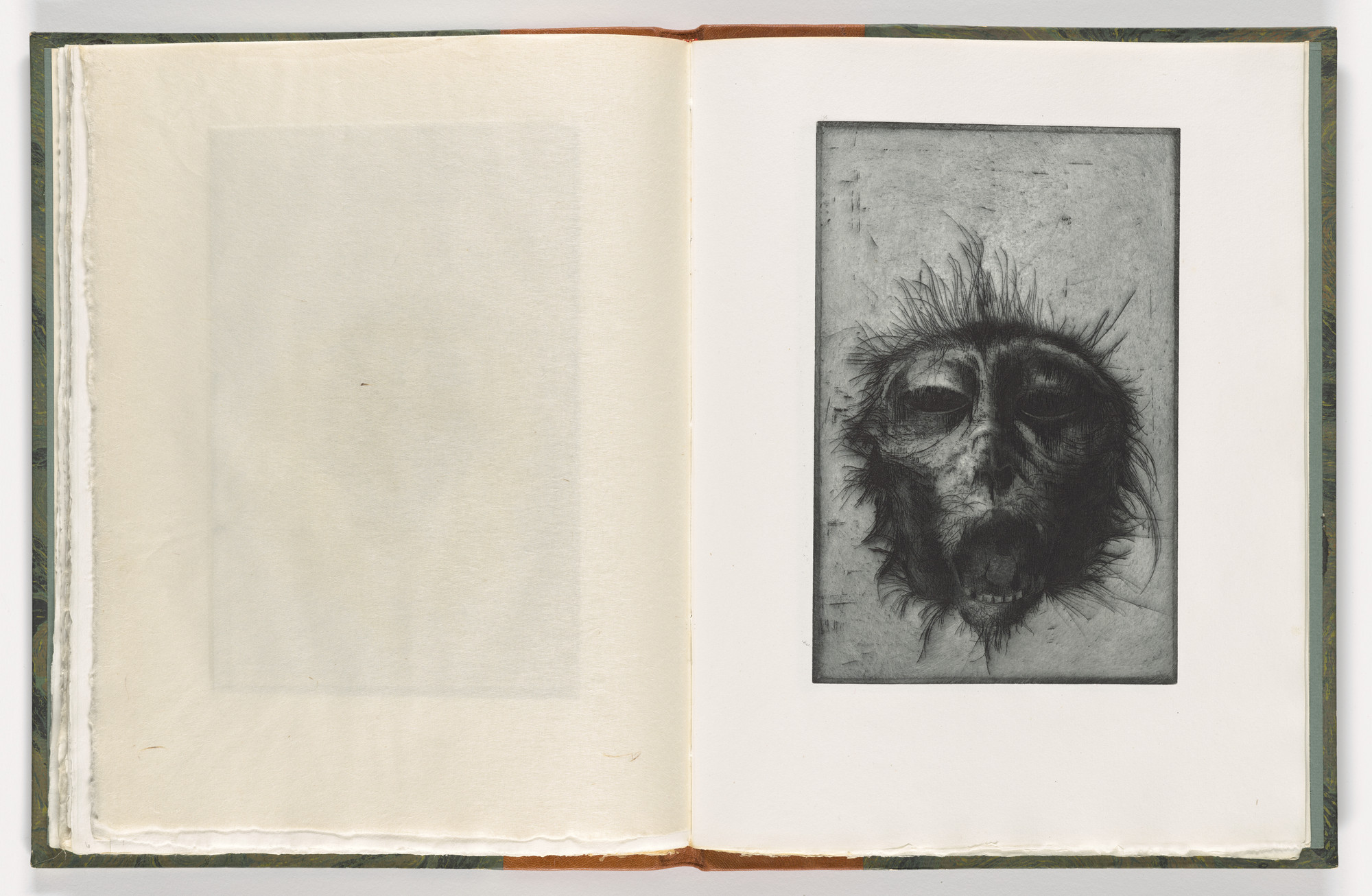 Thomas Cornell. Plate (folio 36) from The Monkey