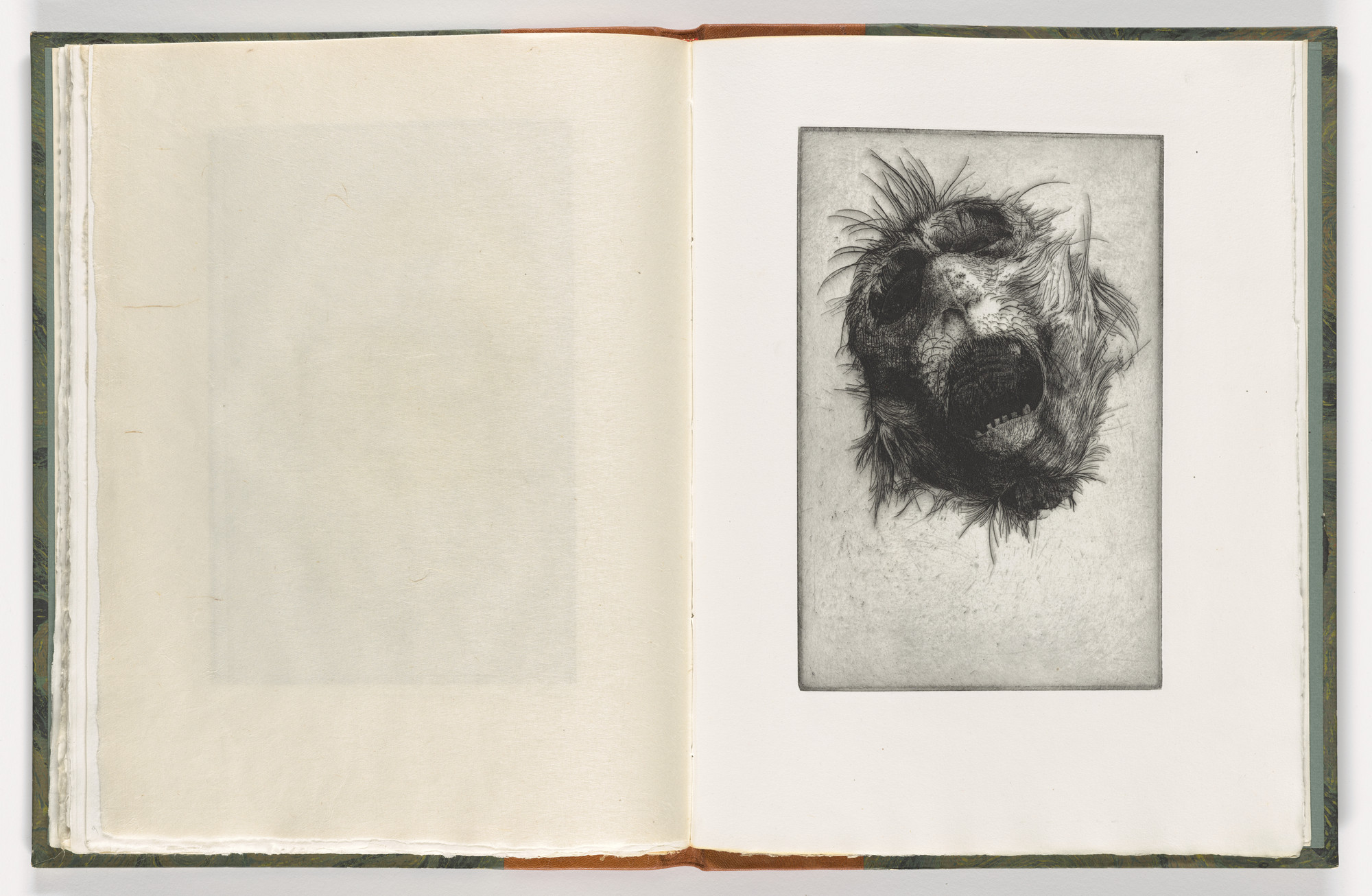 Thomas Cornell. Plate (folio 38) from The Monkey
