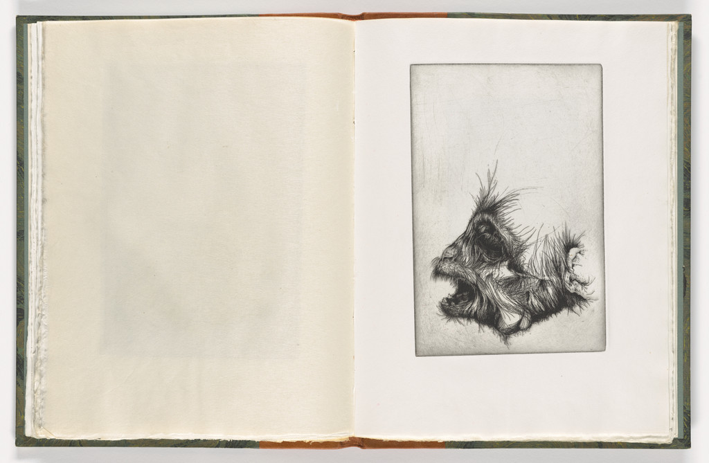 Plate (folio 24) from The Monkey