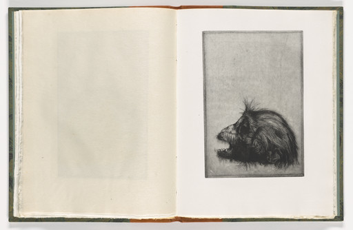 Plate (folio 22) from The Monkey