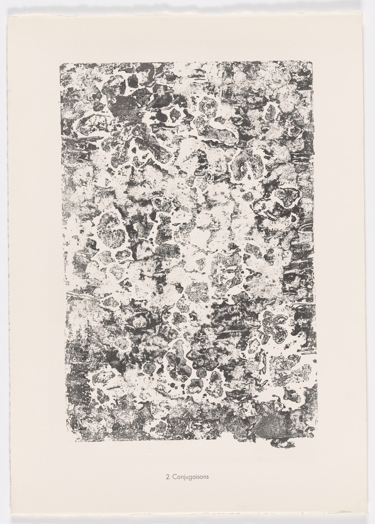 Conjugations (Conjugaisons) from the portfolio Scrap Plates II (Planches de rebut II) from Phenomena (Les Phénomènes)