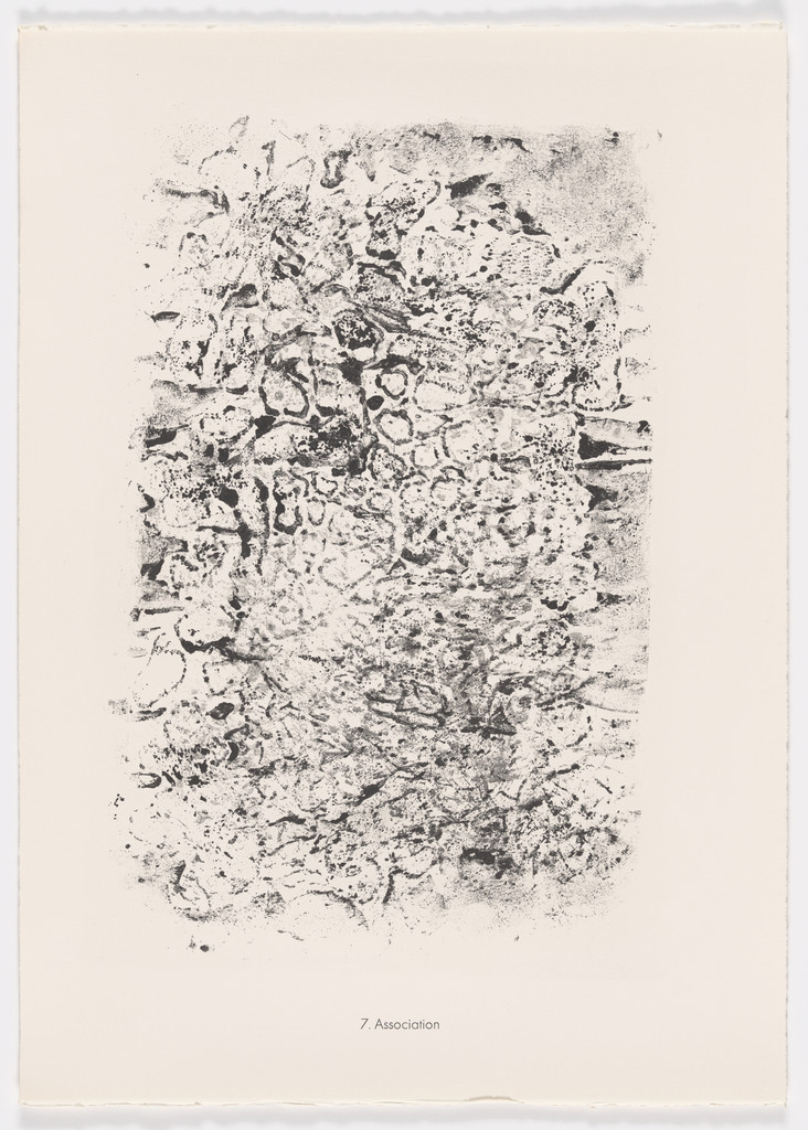 Association from the portfolio Scrap Plates II (Planches de rebut II) from Phenomena (Les Phénomènes)