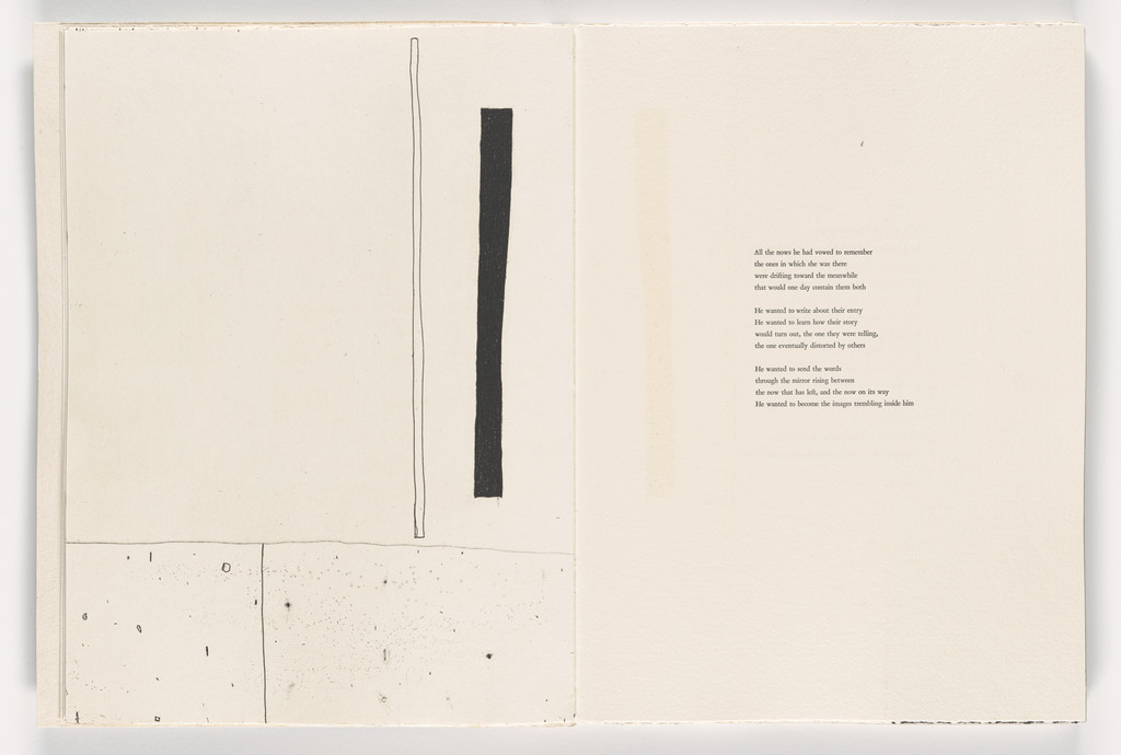 Plate from Giant Wall