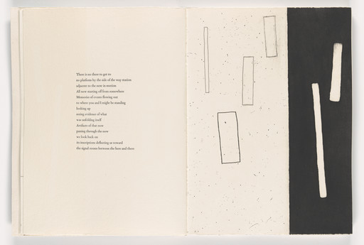 Plate from Giant Wall
