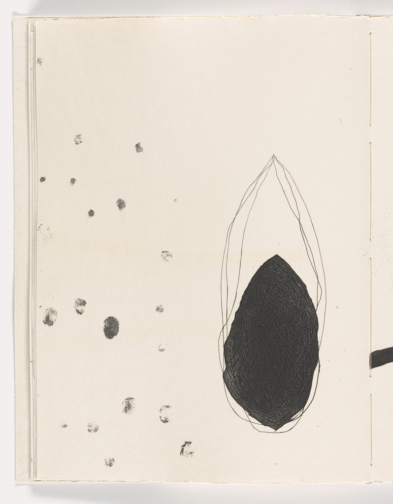 Plate from Giant Wall