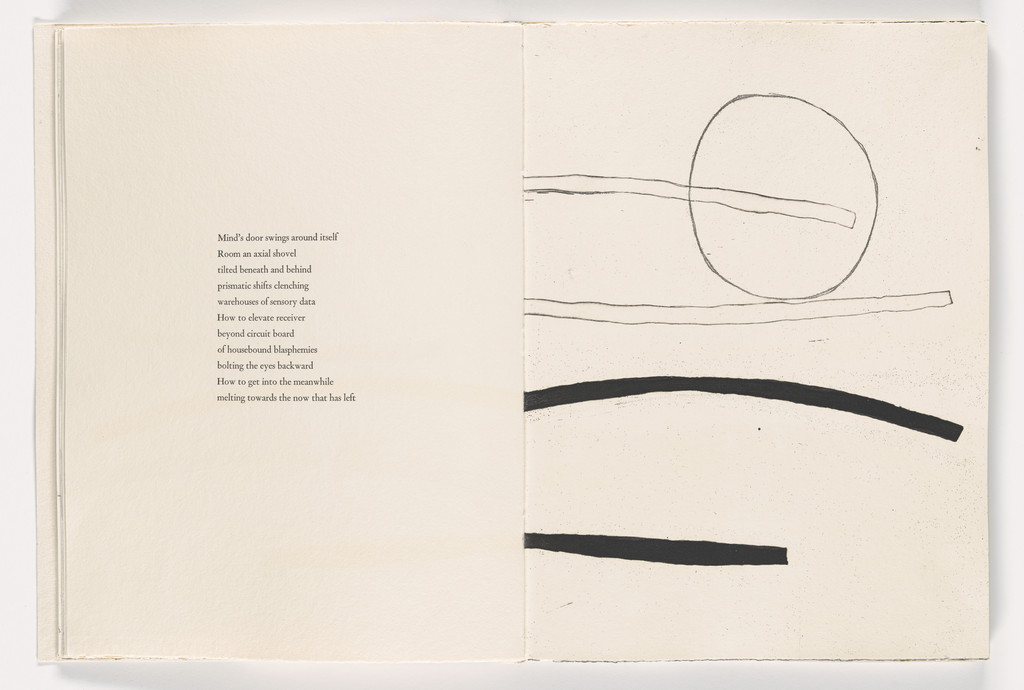Plate from Giant Wall
