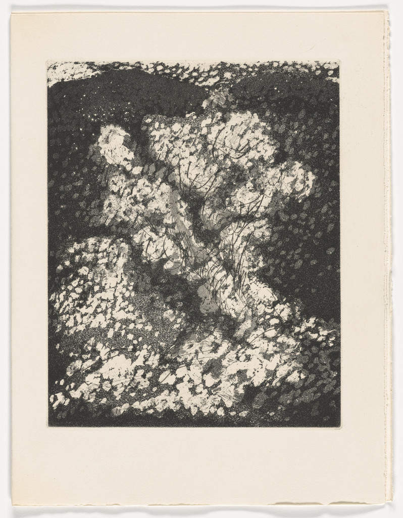 Untitled plate (page 25) from Sol de la Montagne