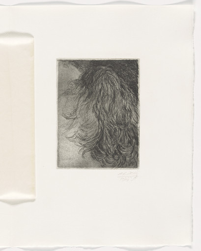 Plate (facing page 4) from The North