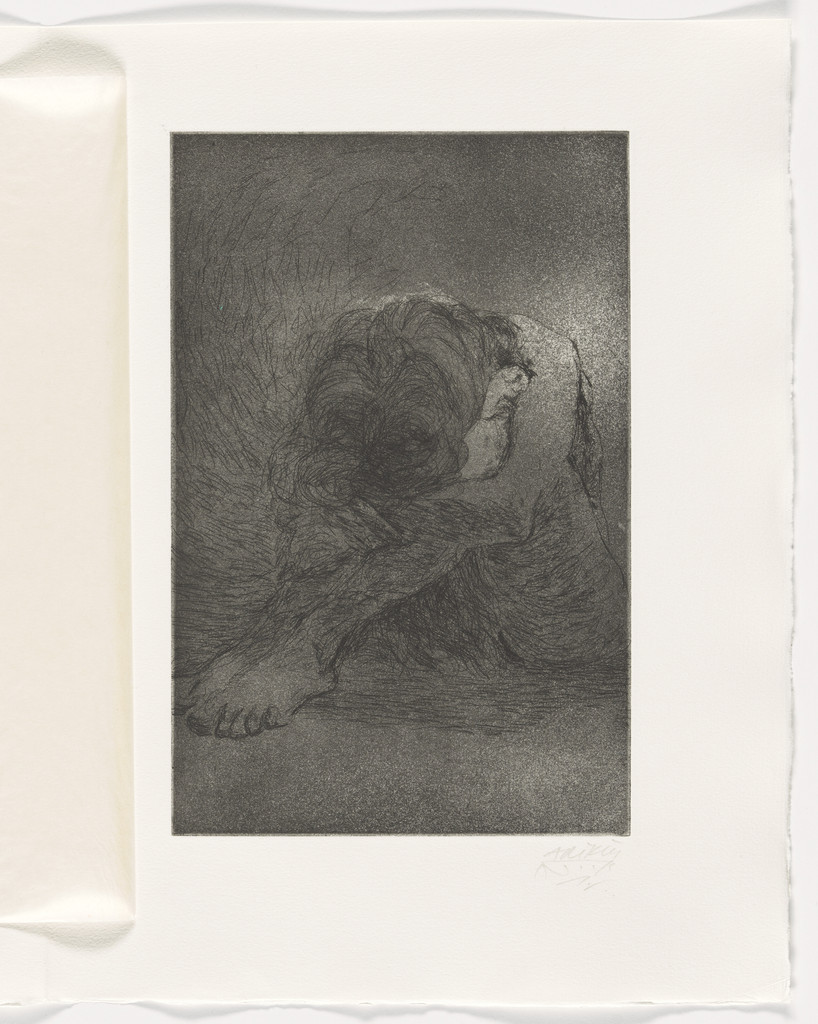 Plate (facing page 6) from The North