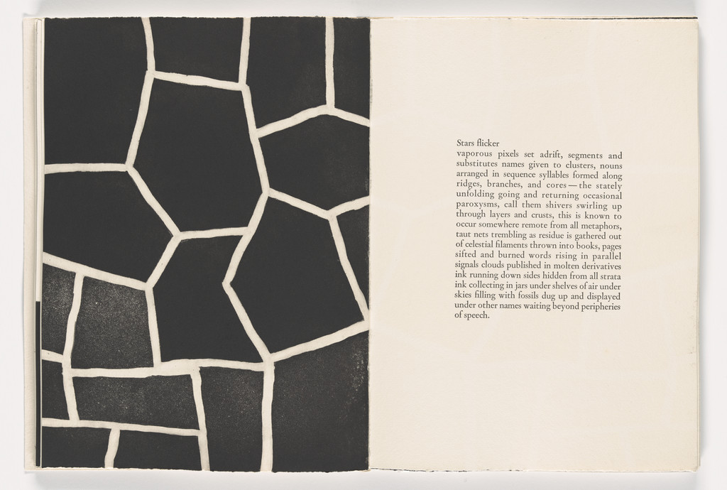 Plate from Giant Wall