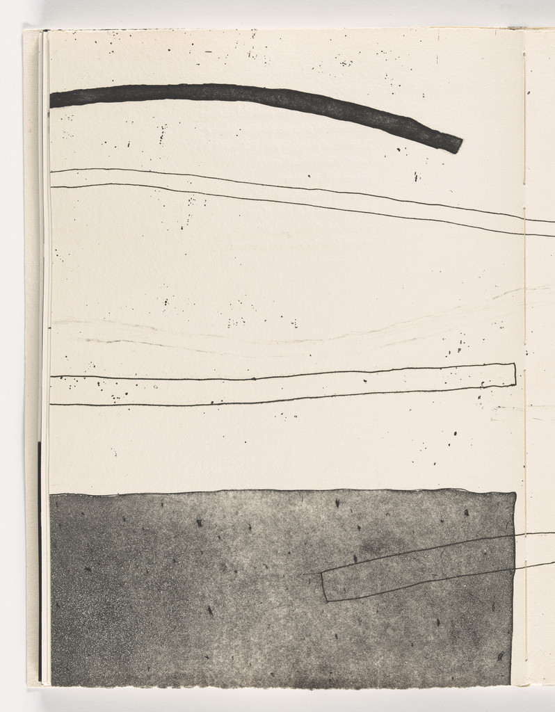 Plate from Giant Wall