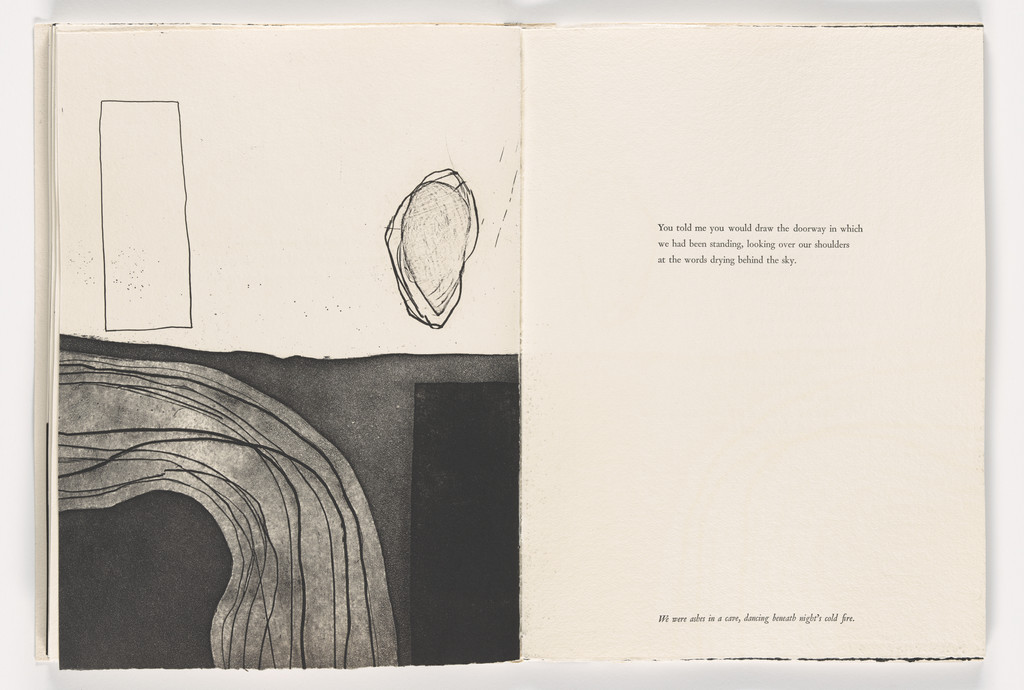 Double page plate from Giant Wall