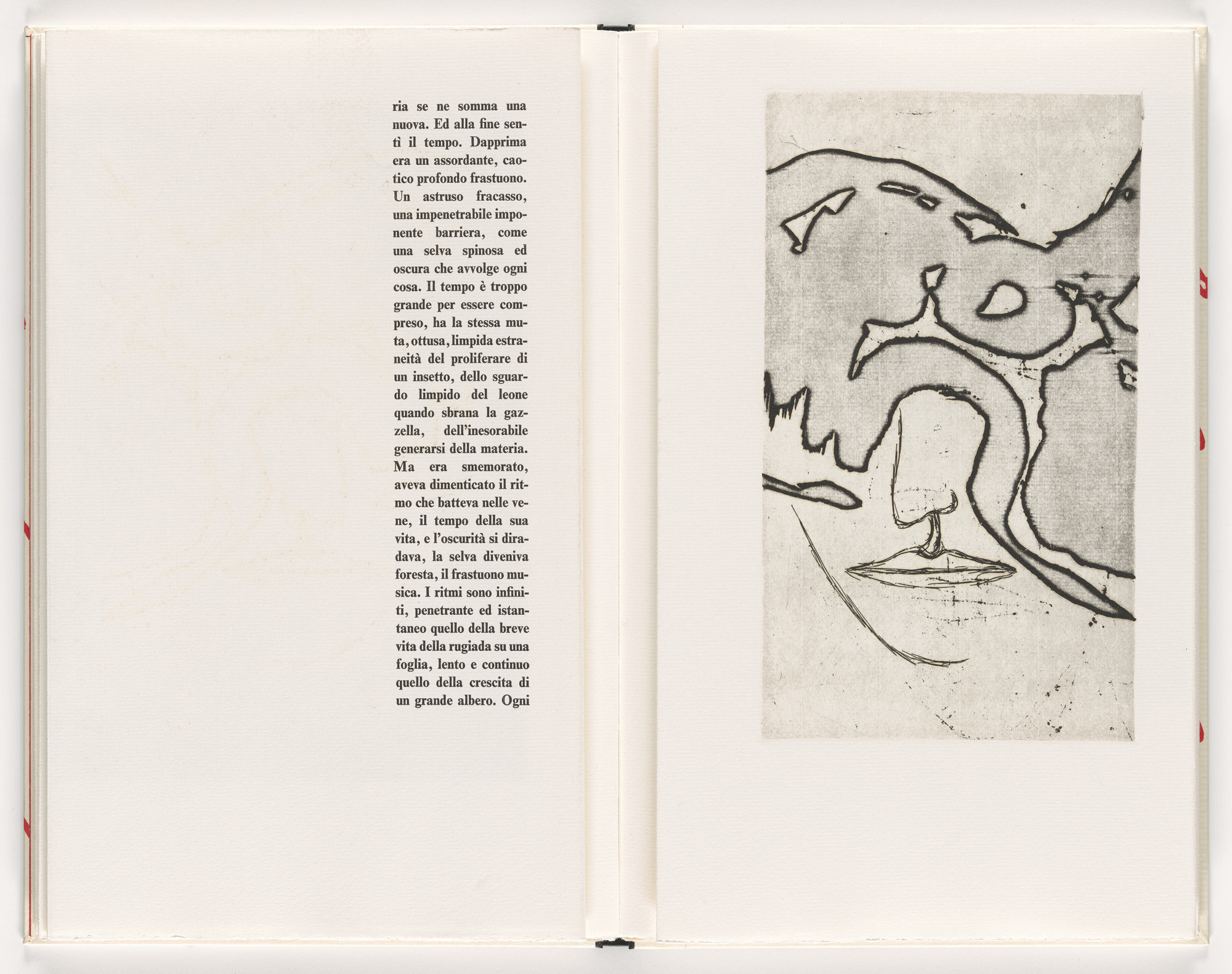 Mimmo Paladino. Plate (folio 19) from Piccolo circolo chiuso (Small Closed Circle)