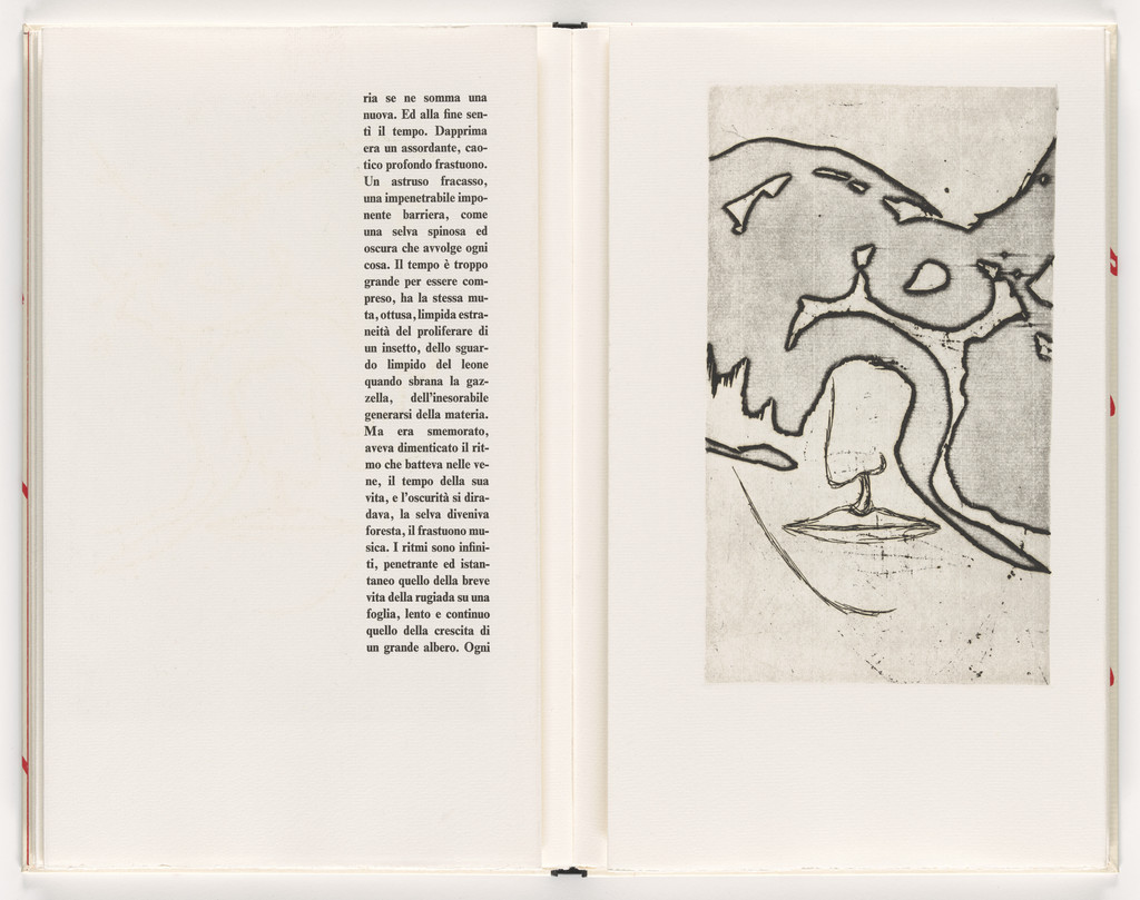 Plate (folio 19) from Piccolo circolo chiuso (Small Closed Circle)