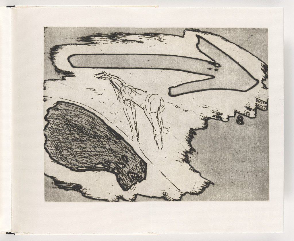 Double page fold-out plate (folios 25 and 26) from Piccolo circolo chiuso (Small Closed Circle)