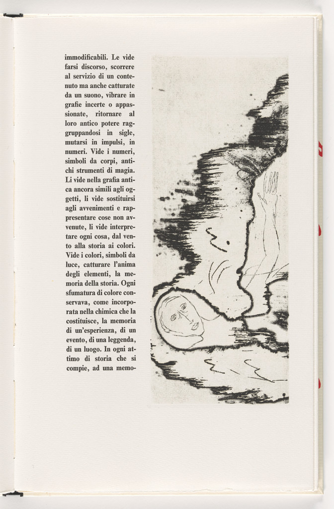 In-text plate (folio 13) from Piccolo circolo chiuso (Small Closed Circle)