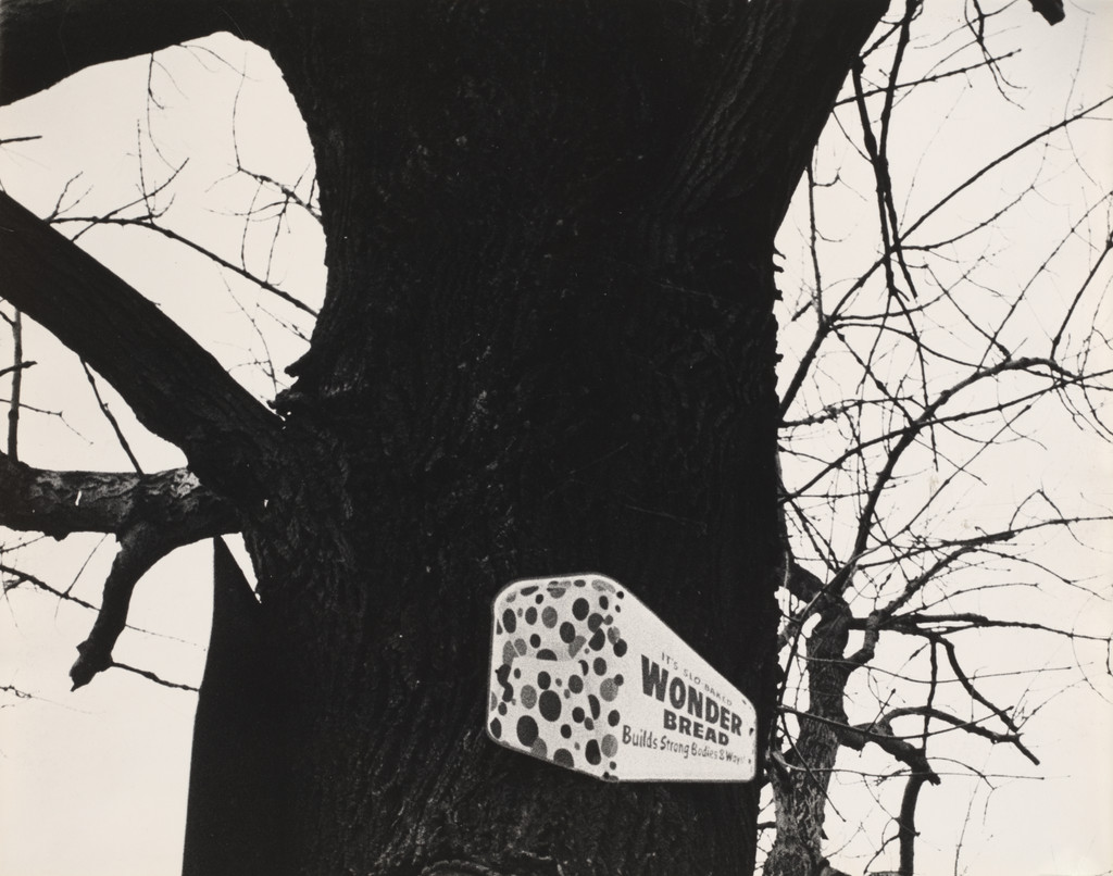 Untitled, William Klein, 1954-55