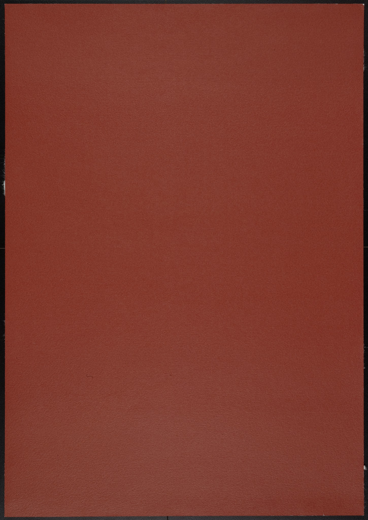 Untitled from an untitled portfolio