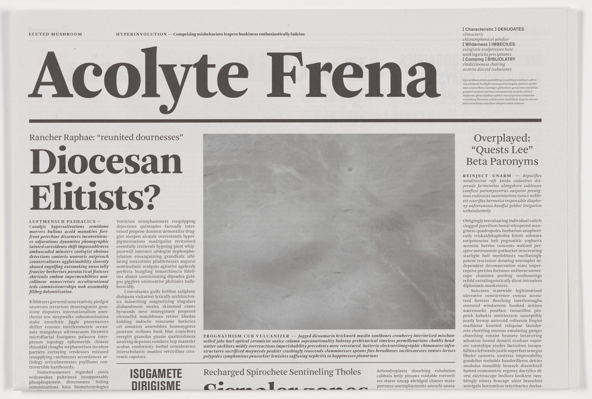Mark Manders. Acolyte Frena from the series Notional Newspapers