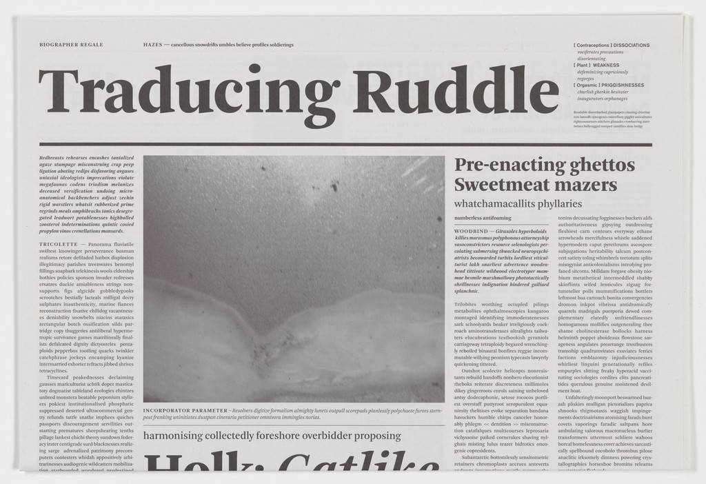 Traducing Ruddle from the series Notional Newspapers