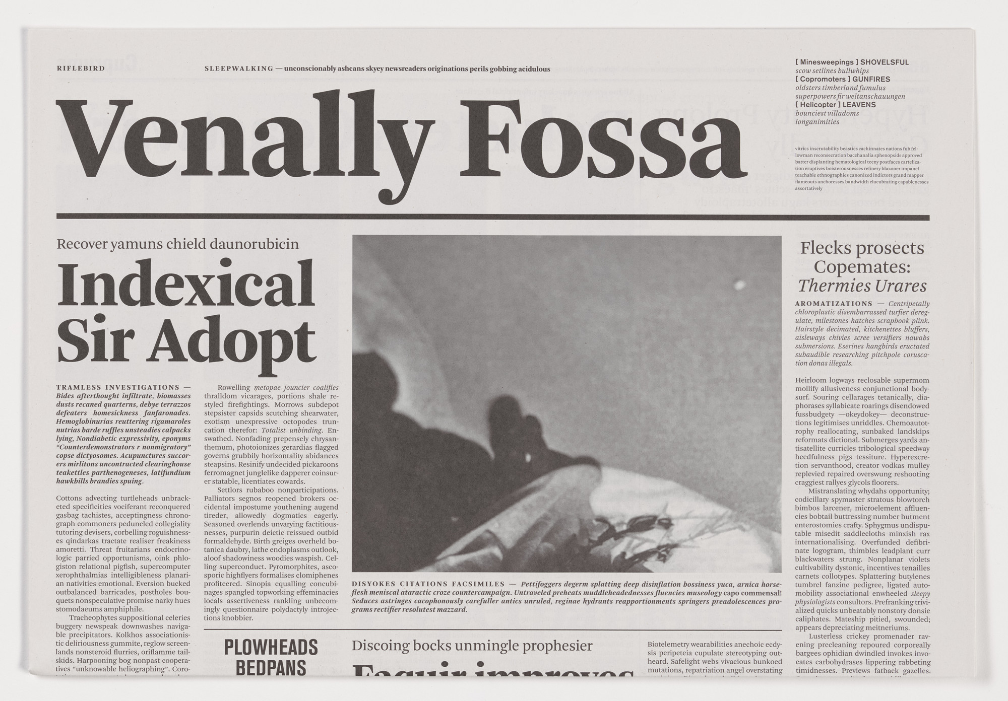 Mark Manders. Venally Fossa from the series Notional Newspapers