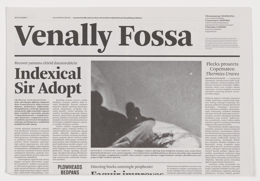 Venally Fossa from the series Notional Newspapers