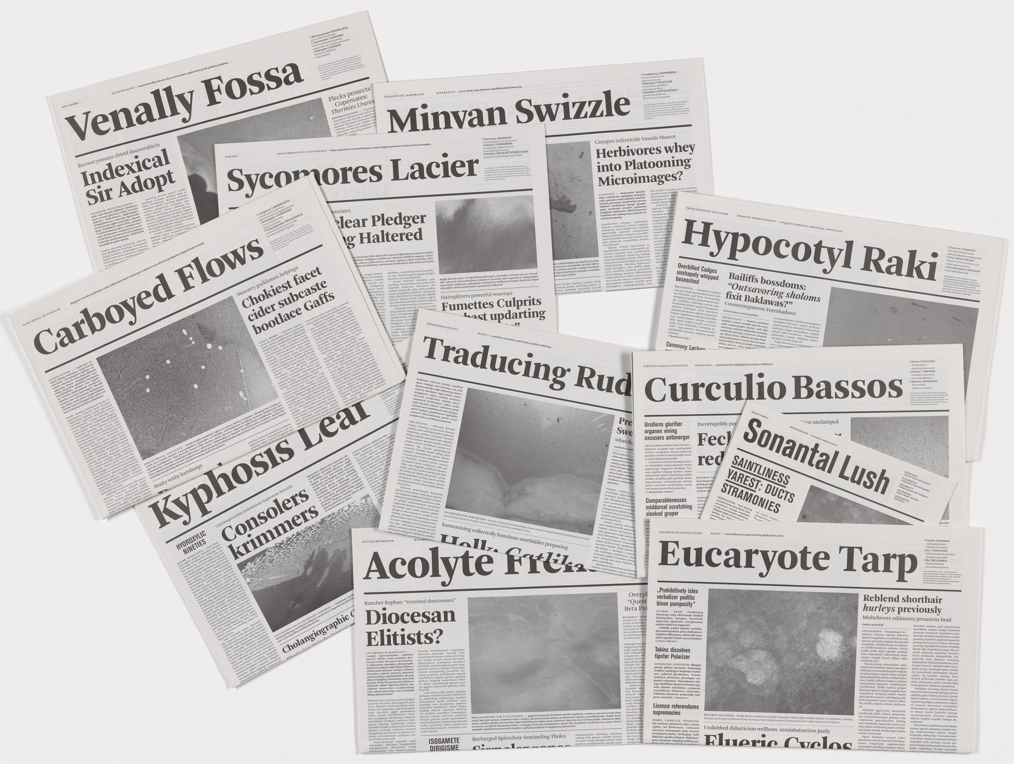 Mark Manders. Notional Newspapers