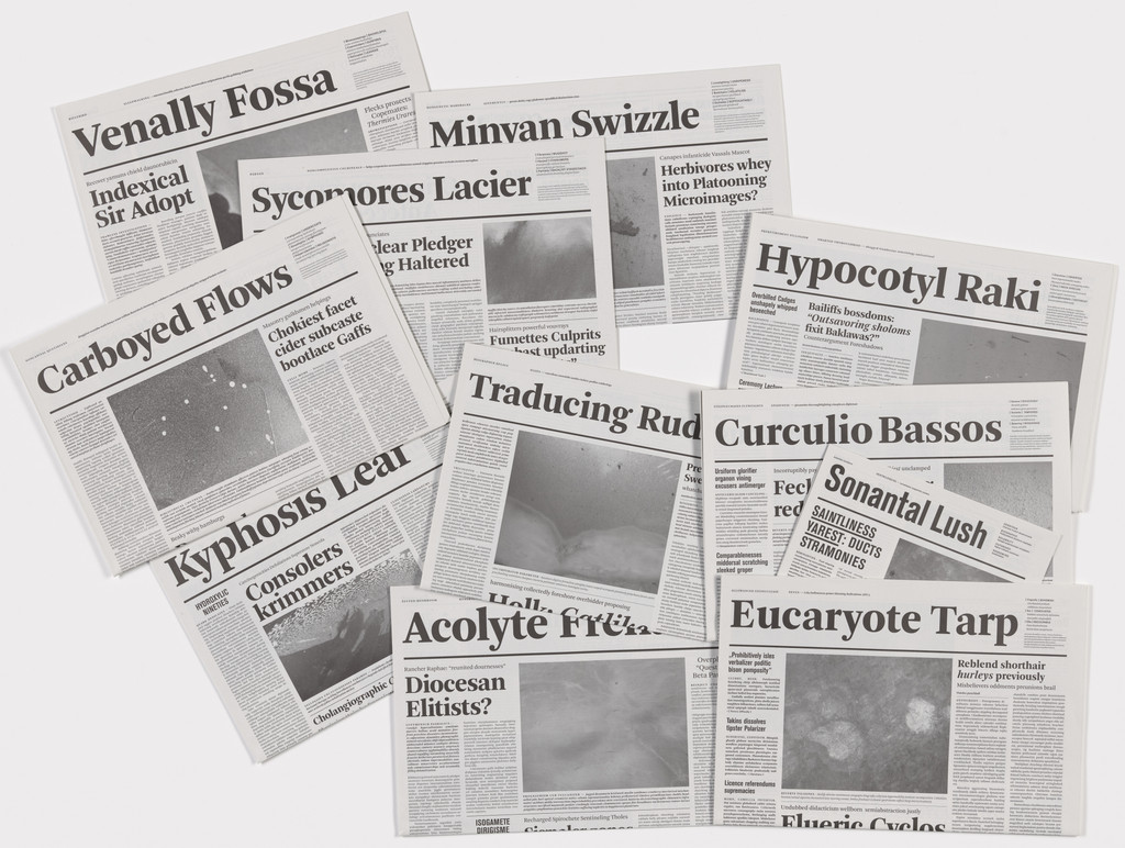 Notional Newspapers