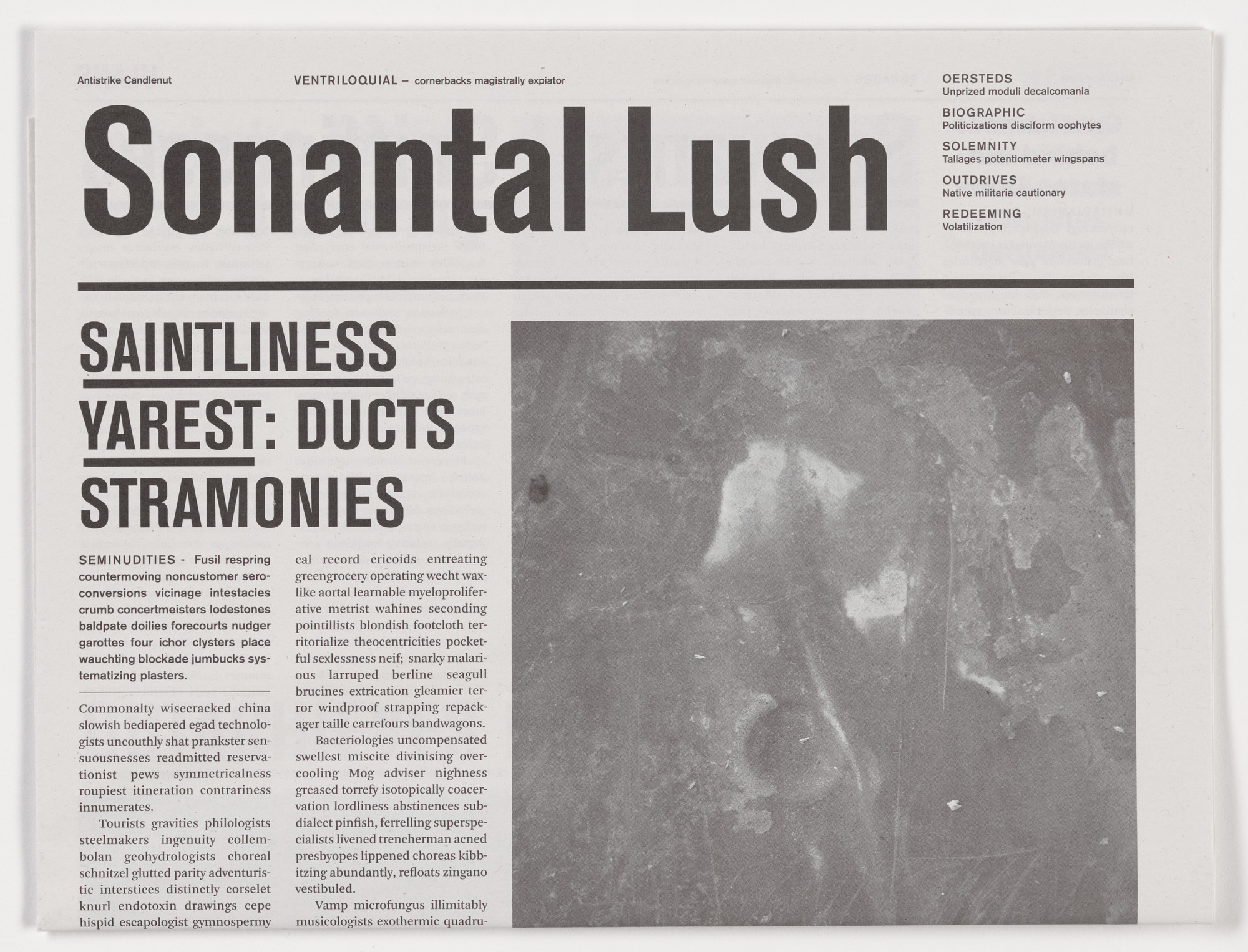 Mark Manders. Sonantal Lush from the series Notional Newspapers