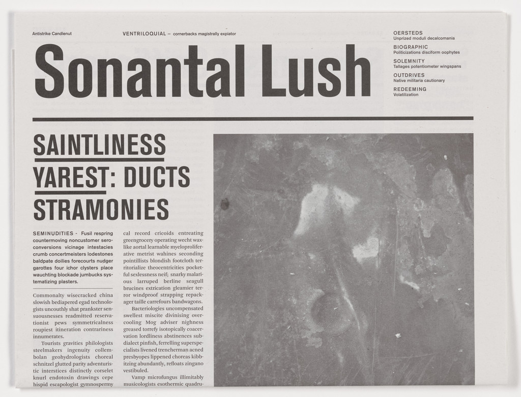 Sonantal Lush from the series Notional Newspapers