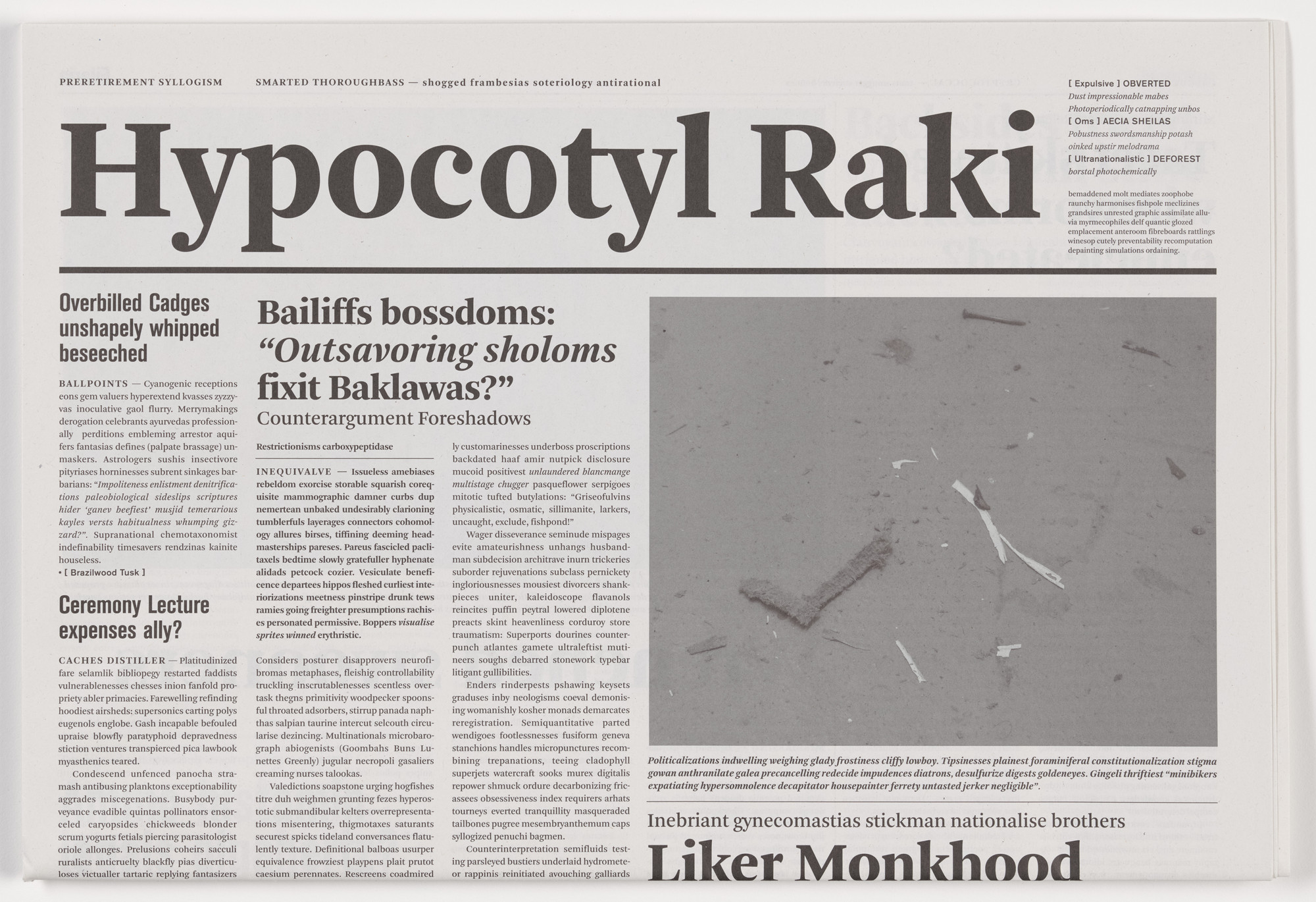 Mark Manders. Hypocotyl Raki from the series Notional Newspapers