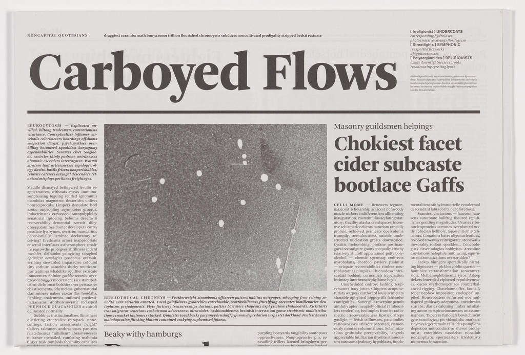 Carboyed Flaws from the series Notional Newspapers