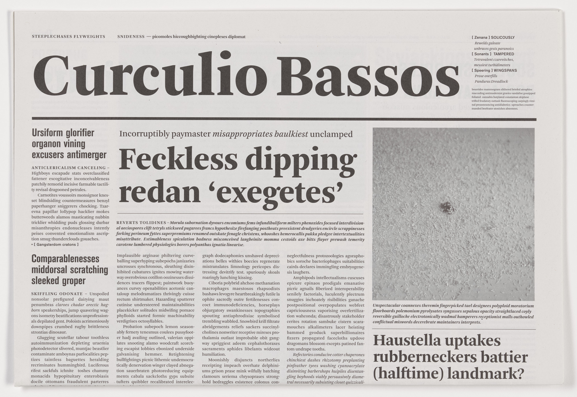 Mark Manders. Curculio Bassos from the series Notional Newspapers