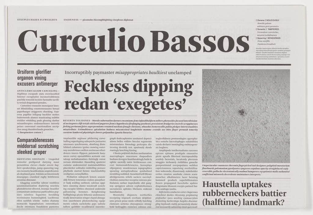 Curculio Bassos from the series Notional Newspapers