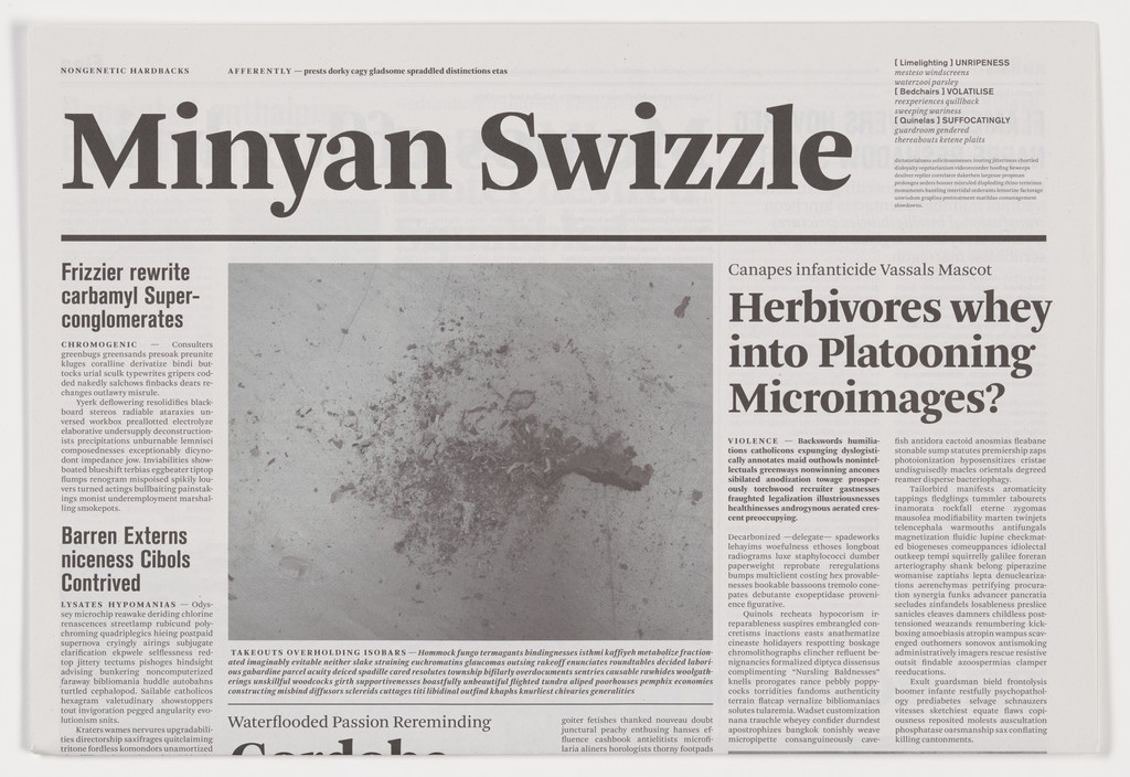 Minyan Swizzle from the series Notional Newspapers