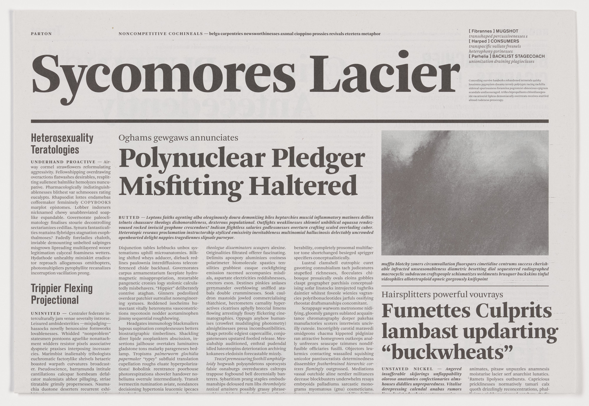 Mark Manders. Sycomores Lacier from the series Notional Newspapers