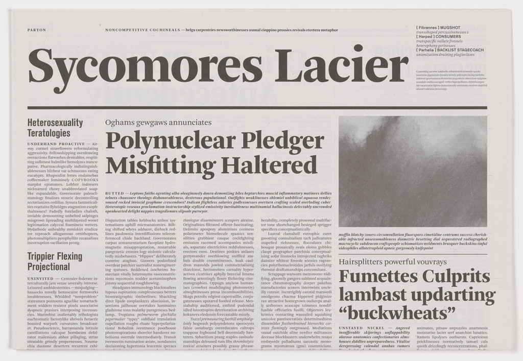 Sycomores Lacier from the series Notional Newspapers