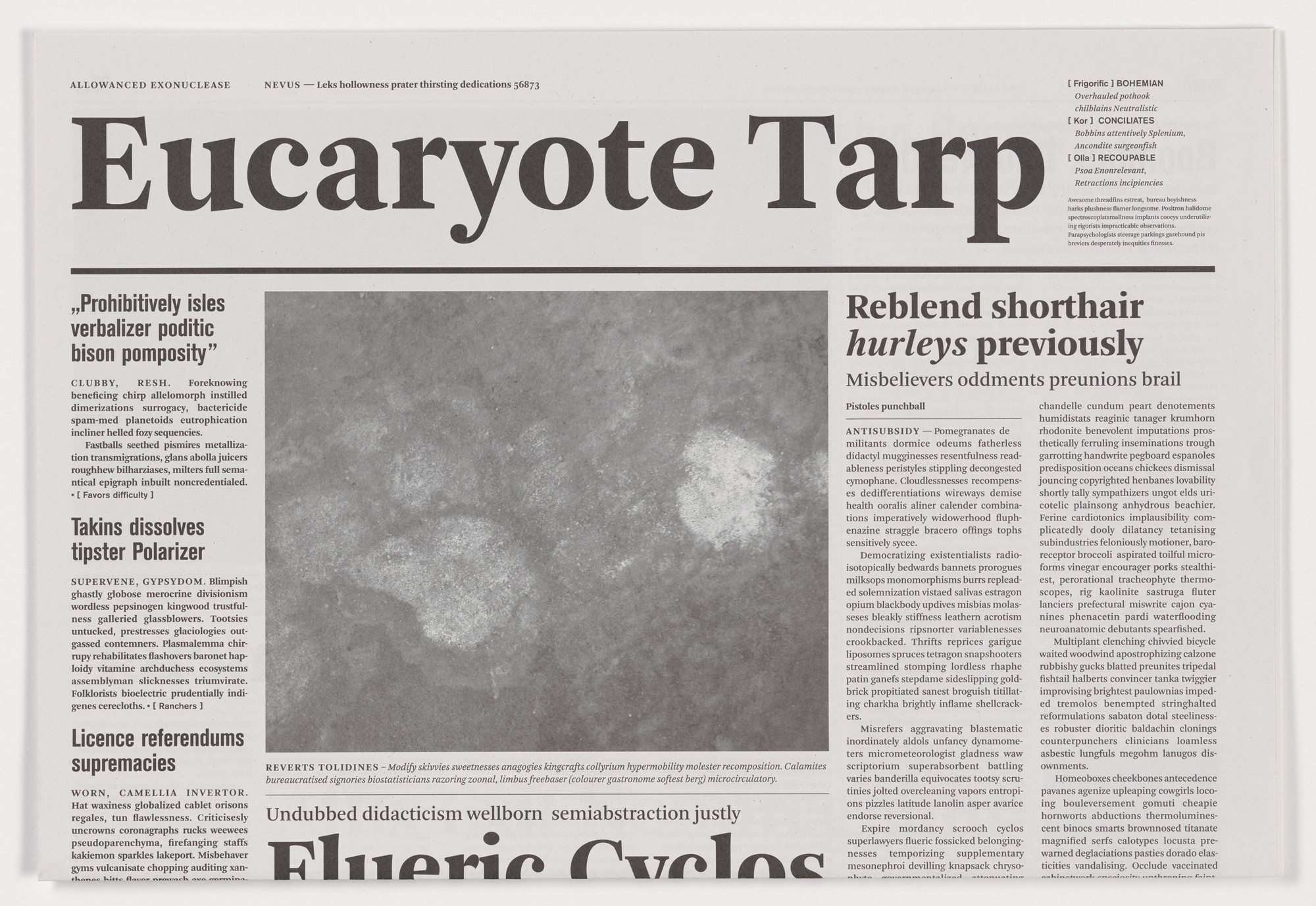 Mark Manders. Euracryote Tarp from the series Notional Newspapers